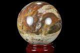 Colorful Petrified Wood Sphere - Madagascar #81549-1